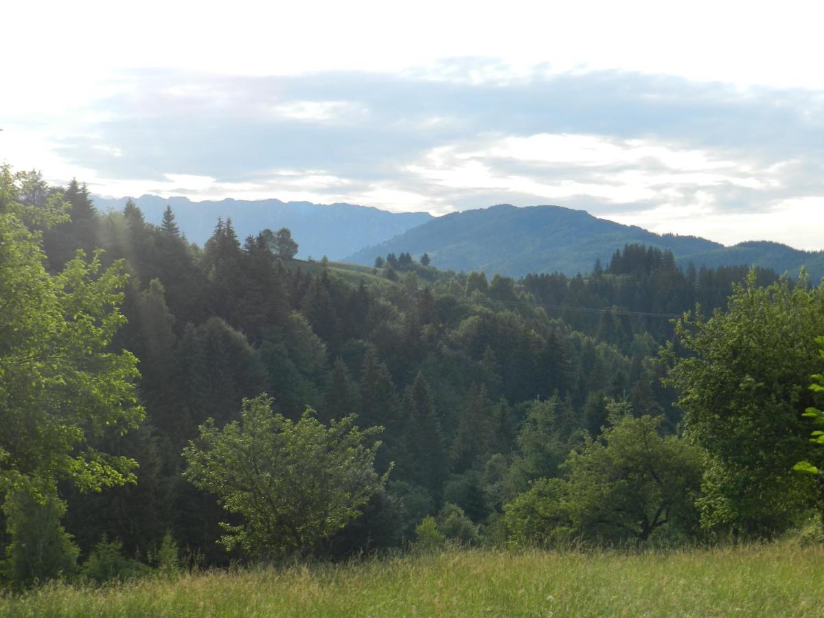 Cabana Festung Bran  Buitenkant foto
