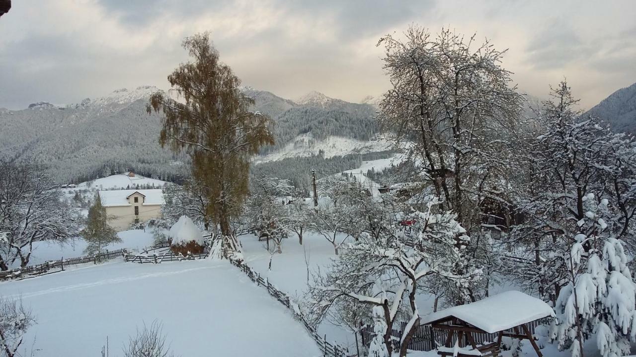 Cabana Festung Bran  Buitenkant foto