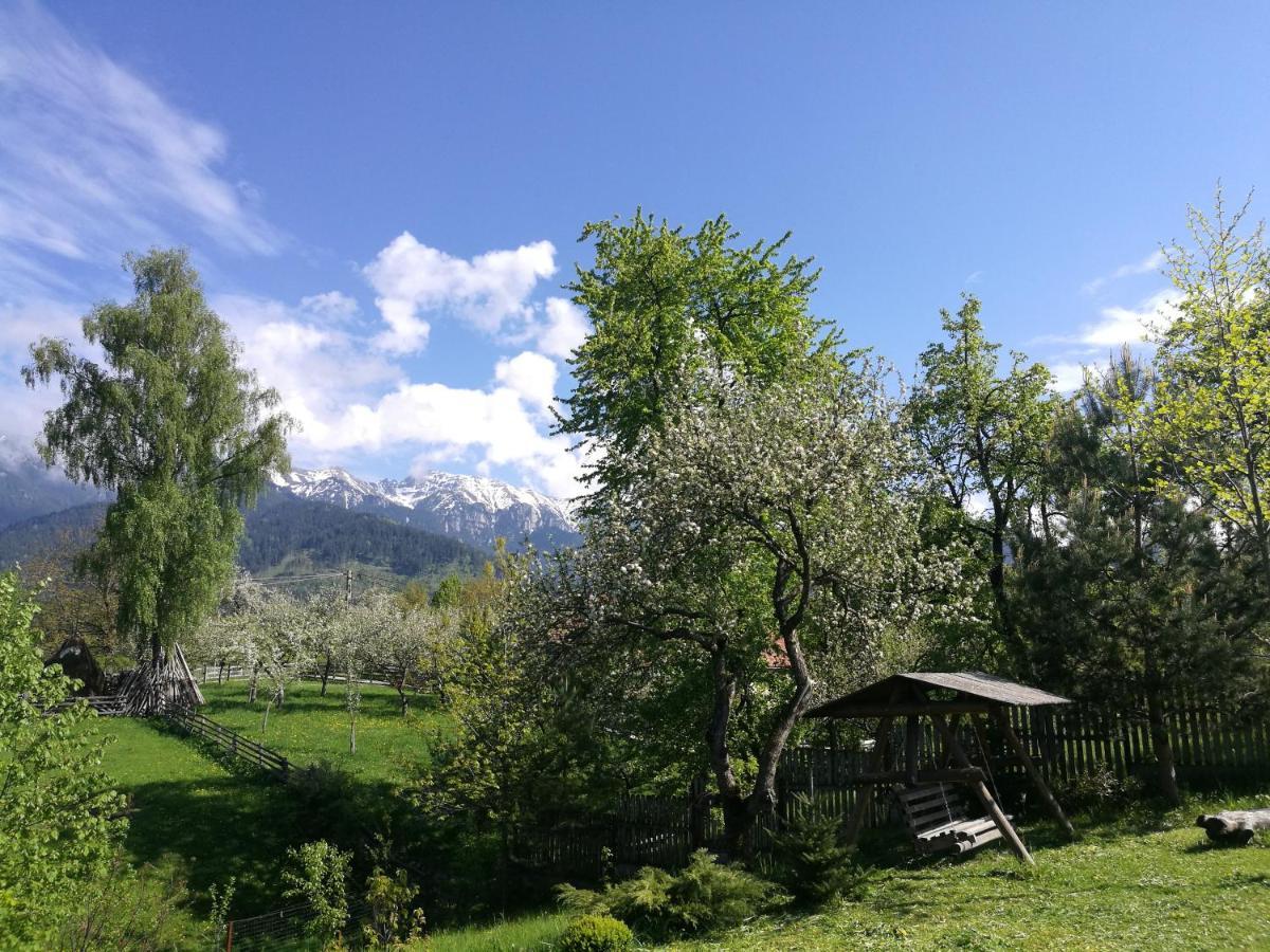 Cabana Festung Bran  Buitenkant foto