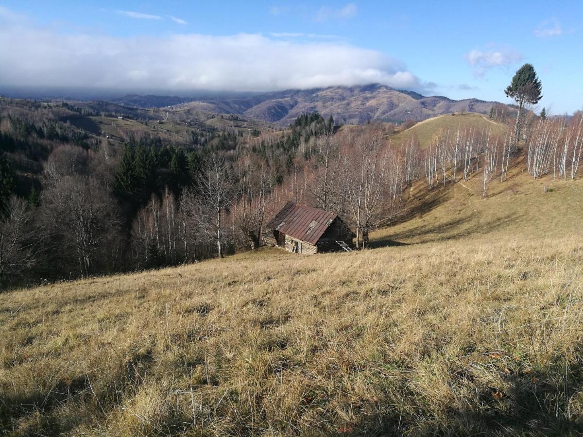 Cabana Festung Bran  Buitenkant foto