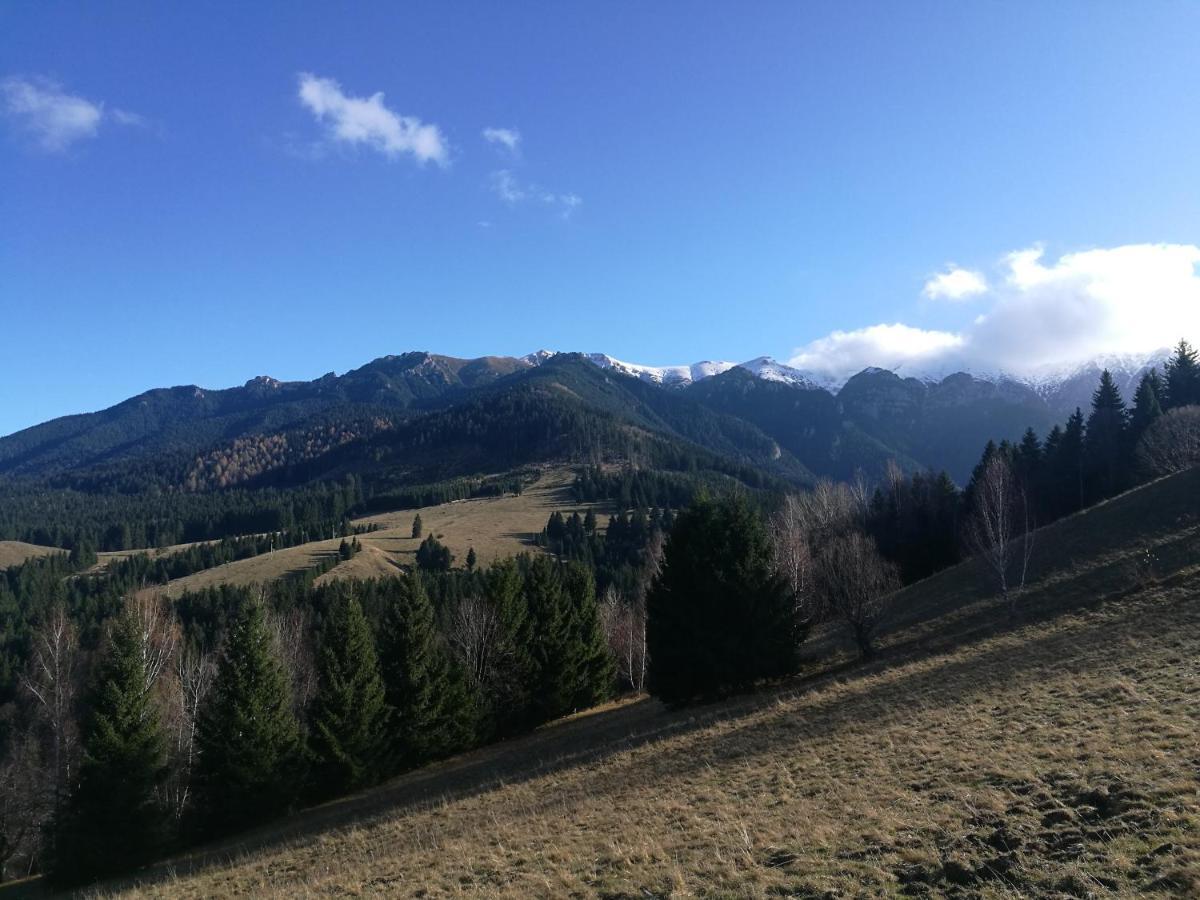 Cabana Festung Bran  Buitenkant foto